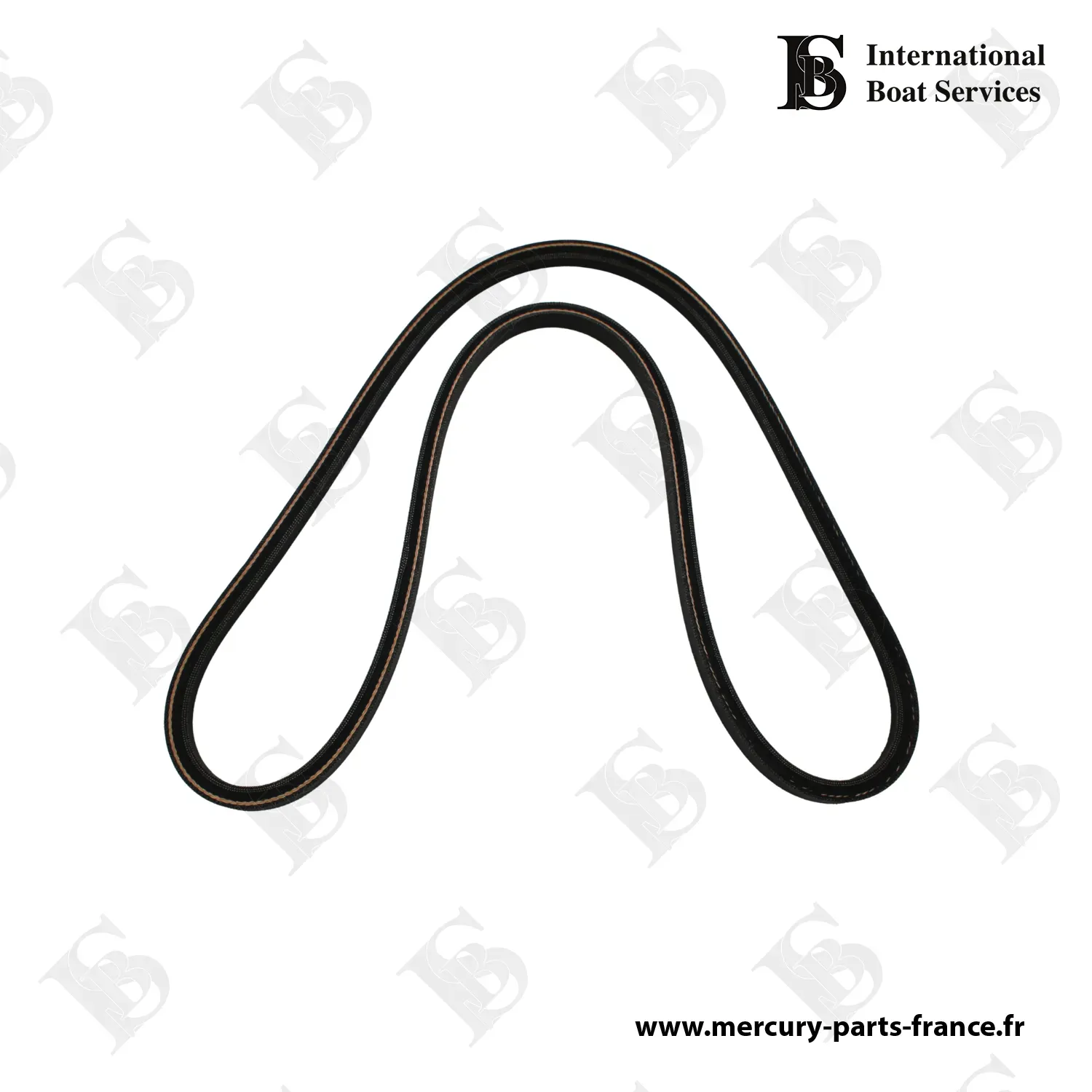 Courroie Alterntauer / 3.0L LX Inboard