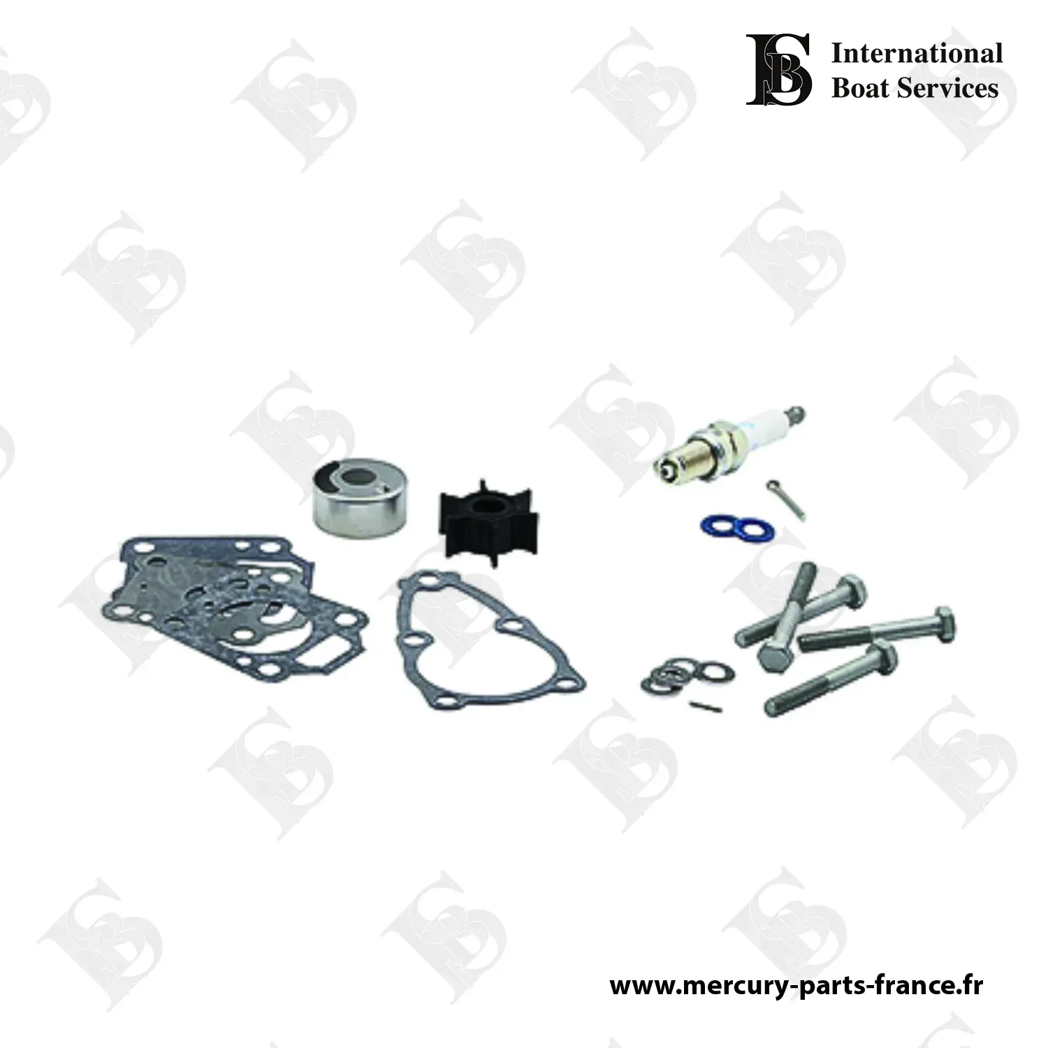 Kit d'entretien 100 heures 4-6 cv 4 temps Hors-bord