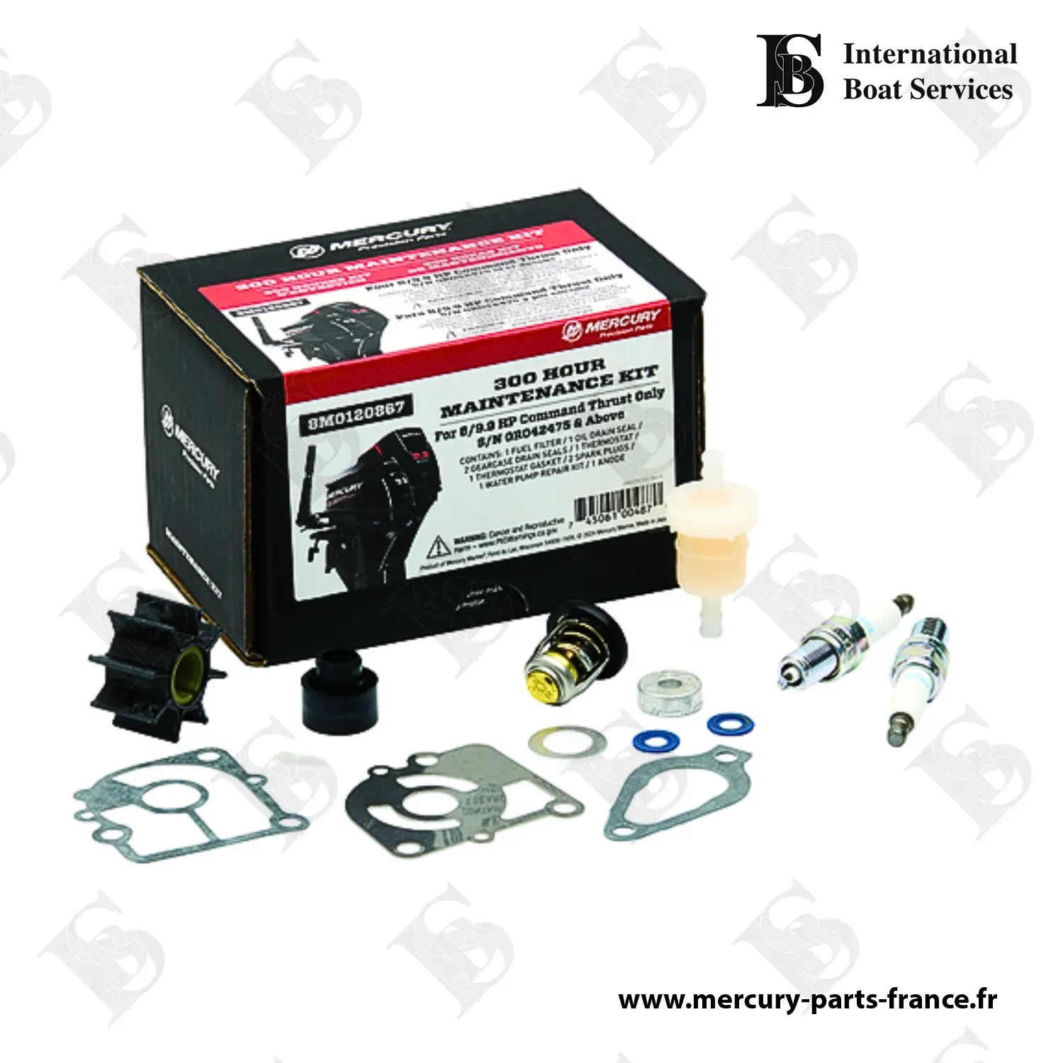 Kit d'entretien 300 heures 8-9,9 cv 4 temps hors-bord - inclus CT et ProKicker