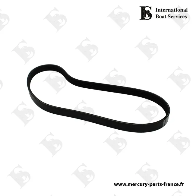 Courroie / V6 - V8 Hors-Bord